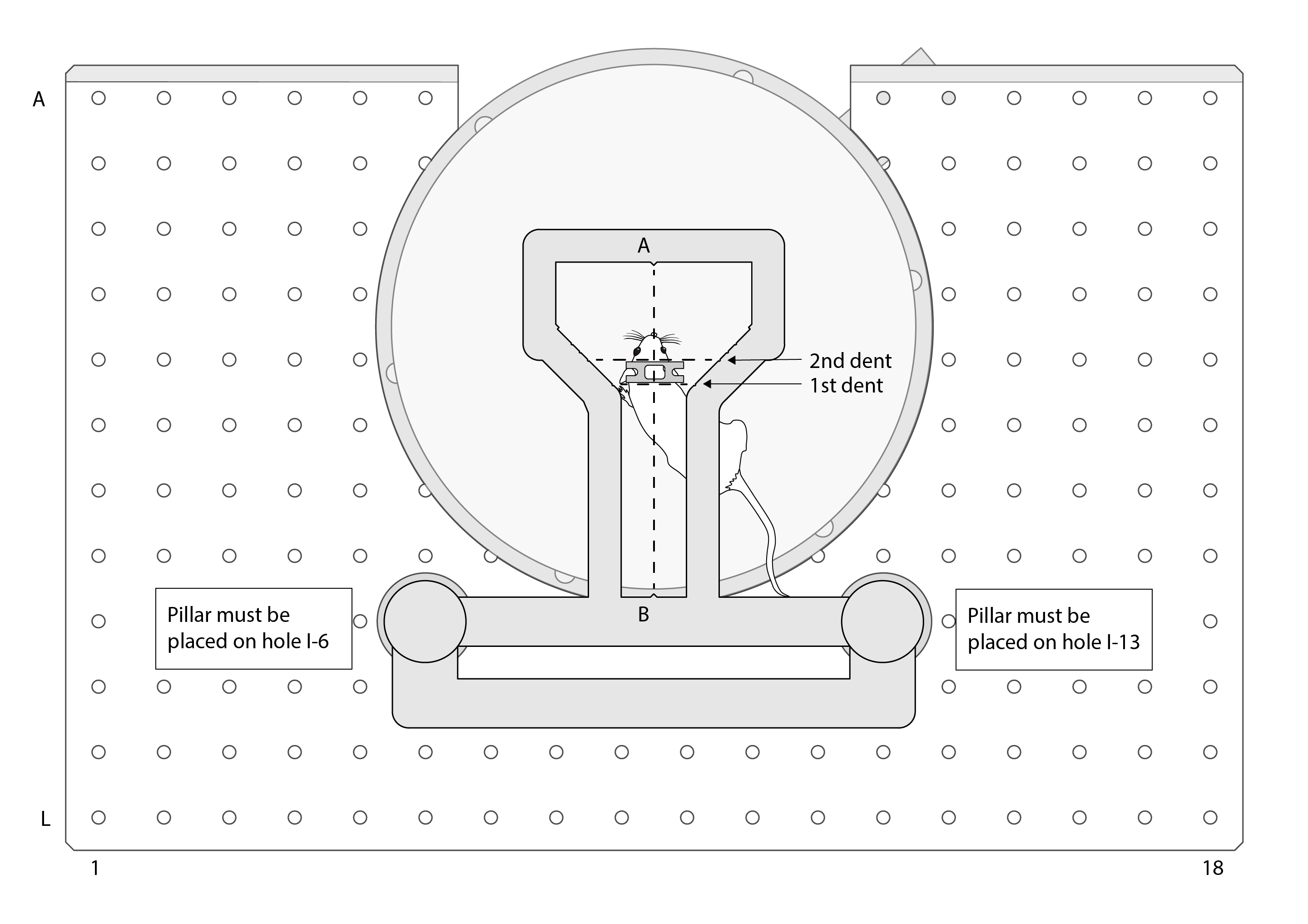 Positioning tool and animal placement (mouse drawings by Federico Claudi)